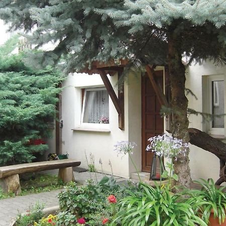 Lovely Home In Heideblick With Kitchen Langengrassau ภายนอก รูปภาพ